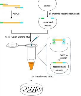 1721975673414357739 1721975673414357739