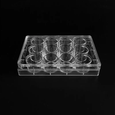 12 لوحة زراعة الخلايا بشكل جيد