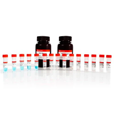 مجموعة الكشف الكمي للبروتين BCA