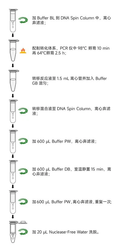 مجموعة تحويل ثنائي كبريتيت DNA من ميثيل جولد