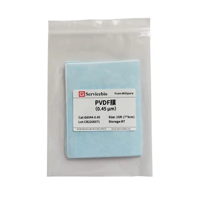 غشاء PVDF (0.45μm)