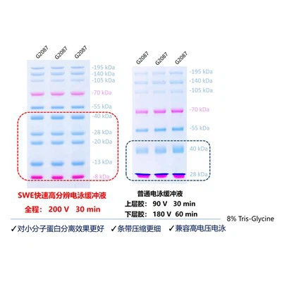SWE عازلة تشغيل سريعة عالية الدقة (مسحوق)