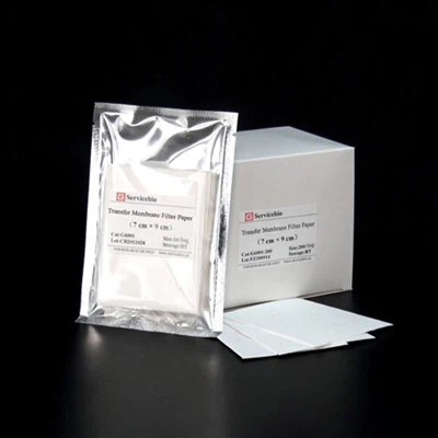 نقل ورق الترشيح الغشائي